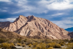 Desert View
