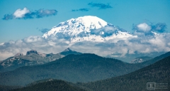 Mt. Rainier from Indian Heaven