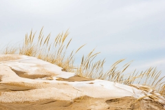 Sand, Snow and Grass