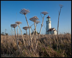 Cape Blanco Lighthouse