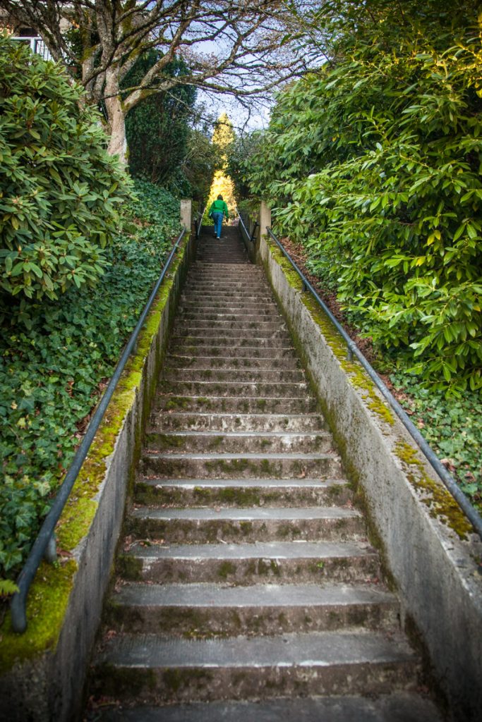 There are staircases like this one hidden in hilly neighborhoods throughout Portland. This one is in the Nob Hill area of NW Portland.