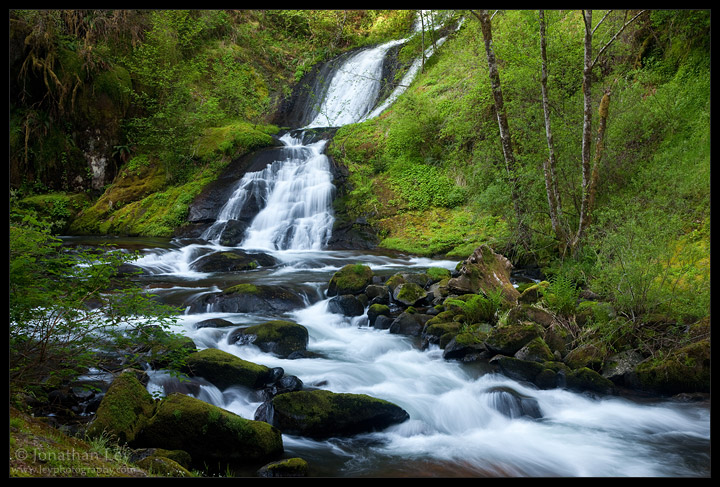 Sweet Creek Falls - 9-may-2010 - Oregon Hikers