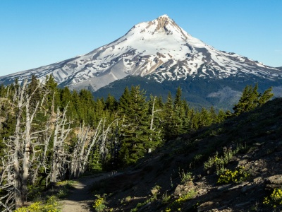 Badger Creek Wilderness